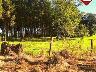 Foto 4 de Terreno de 1 hectÃ¡reas