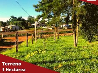 Foto 1 de Terreno de 1 hectÃ¡reas