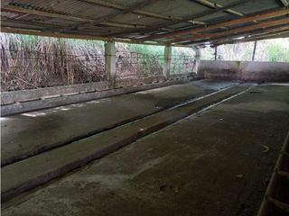 FINCA EN VENTA BUGA VEREDA LA HODA, MAJA HIERRO