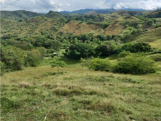 FINCA EN VENTA BUGA VEREDA LA HODA, MAJA HIERRO