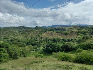 FINCA EN VENTA BUGA VEREDA LA HODA, MAJA HIERRO
