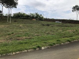 Foto 6 de lote en venta en pance. Cod V10468