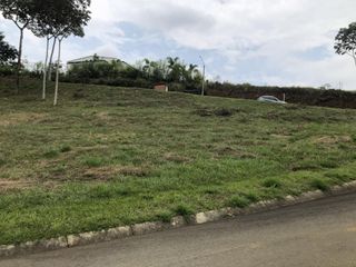Foto 7 de lote en venta en pance. Cod V10468