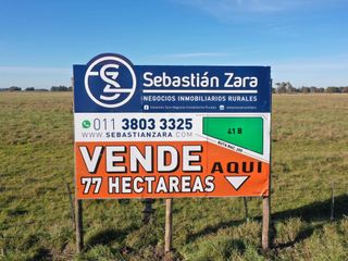 Campo de 77 hectáreas en Cañuelas ideal desarrollo inmobiliario
