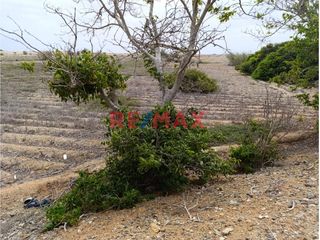 Foto 8 de 🌟 ¡Oportunidad Única para Inversores y Desarrolladores! 🌟

Descubre el potencial de este amplio terreno situado en la codiciada zona de FUNDO PANCAL
