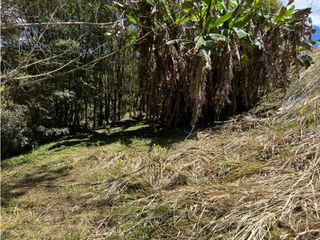 Venta lote en Rionegro sector Llanogrande