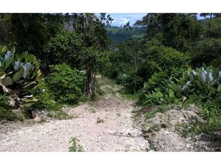 Foto 10 de finca de venta  en Esmeraldas sitio san Mateo