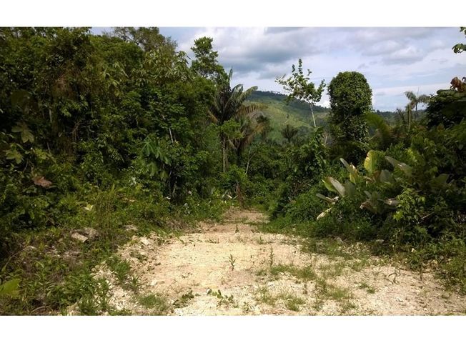 place photo 17