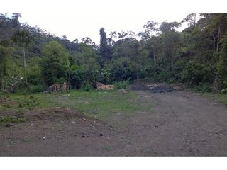 Foto 14 de finca de venta  en Esmeraldas sitio san Mateo