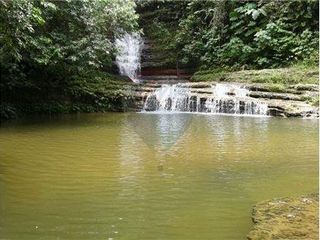 Foto 3 de finca de venta  en Esmeraldas sitio san Mateo
