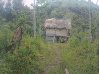 Foto 5 de finca de venta  en Esmeraldas sitio san Mateo