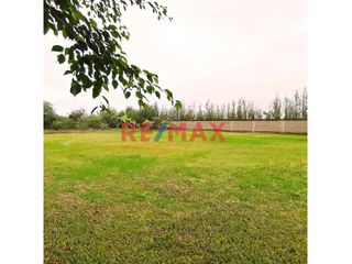 Foto 21 de Casa de Campo en Venta: Condominio La Toscana - Chincha

Ubicación: Condominio La Toscana, El Carmen, Chincha
Antigüedad: 12 años
Área de Terreno
