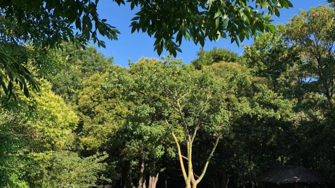 place photo 15