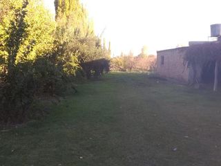 Foto 2 de Campo - Bowen