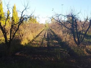 Foto 1 de Campo - Bowen