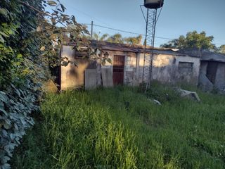 Foto 7 de VENTA DE CASA EN Lobos