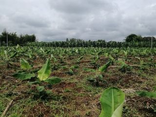 Foto 1 de Terreno en Venta sector Catarama