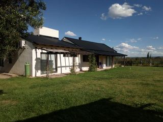 Foto 2 de Casa con piscina y viñedo - Cuadro Benegas
