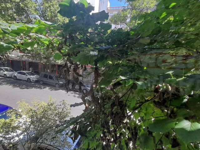 Departamento monoambiente en venta - 1 baño - 35mts2  - Mar Del Plata