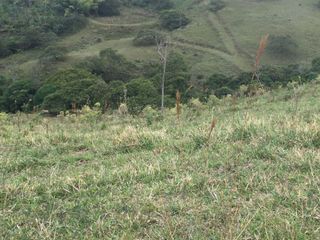 Foto 3 de finca en venta en corregimiento de monte rey. Cod V193