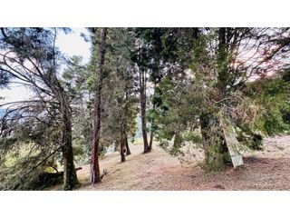 Foto 4 de SE VENDE HERMOSO LOTE CAMPESTRE EN CONDOMINIO EN LA ESTRELLA