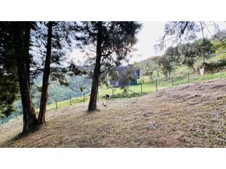 Foto 8 de SE VENDE HERMOSO LOTE CAMPESTRE EN CONDOMINIO EN LA ESTRELLA