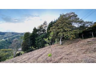 Foto 6 de SE VENDE HERMOSO LOTE CAMPESTRE EN CONDOMINIO EN LA ESTRELLA