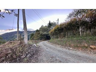 Foto 7 de SE VENDE HERMOSO LOTE CAMPESTRE EN CONDOMINIO EN LA ESTRELLA