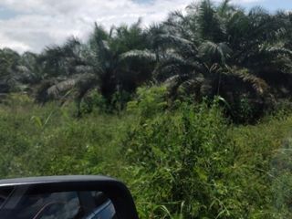 Foto 20 de Terreno en Venta en Balzar