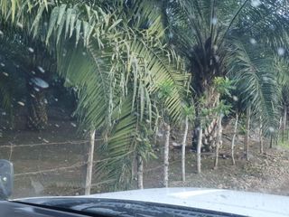 Foto 4 de Terreno en Venta en los ríos