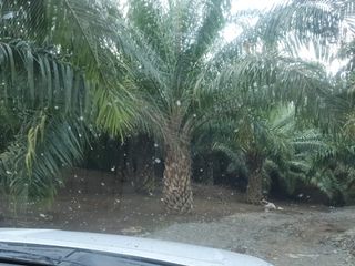 Foto 3 de Terreno en Venta en los ríos