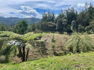 Foto 3 de Lote para la venta corredor La Fe - El Retiro
