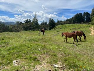 Foto 1 de Lote para la venta corredor La Fe - El Retiro