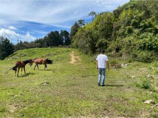Foto 8 de Lote para la venta corredor La Fe - El Retiro