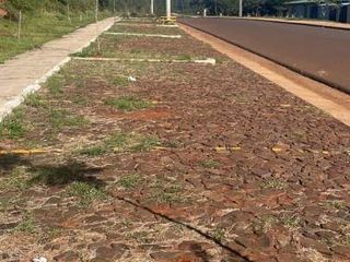 Foto 6 de Lote en 12 colonia Candelaria