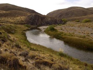 Campo sobre Río Pichileufu, Río Negro. Ruta 40 vieja - Bariloche