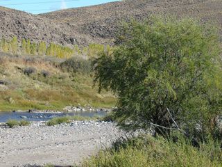 Campo sobre Río Pichileufu, Río Negro. Ruta 40 vieja - Bariloche