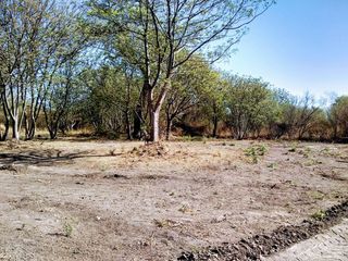 Foto 3 de Campo en Venta en Anta con Cantera en Actividad