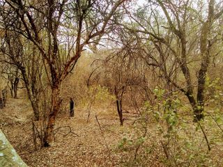 Foto 4 de Campo en Venta en Anta con Cantera en Actividad