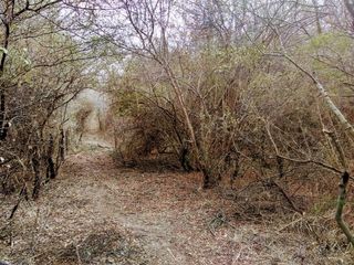 Foto 5 de Campo en Venta en Anta con Cantera en Actividad