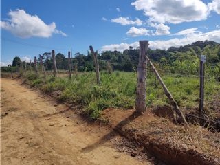 Foto 4 de SE VENDE LOTE 1.550 MTS2 EN LA VEREDA FLORENCIA AL NORTE DE LA CIUDAD