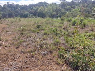 Foto 3 de SE VENDE LOTE 1.550 MTS2 EN LA VEREDA FLORENCIA AL NORTE DE LA CIUDAD