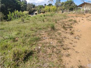 Foto 5 de SE VENDE LOTE 1.550 MTS2 EN LA VEREDA FLORENCIA AL NORTE DE LA CIUDAD
