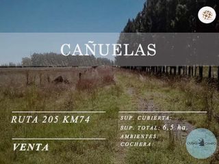 Campo - Cañuelas