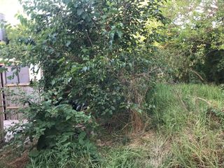 Terreno en venta - 300Mts2 - Manuel B. Gonnet