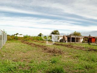 Foto 1 de Terreno en venta - El Mollar II