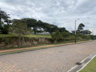 Espectaculares terrenos de venta en la Urbanización La Quinta en Cumbayá