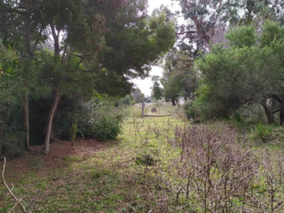 Foto 2 de VENTA, Chacra en Punta Indio con casa a demoler. con pileta