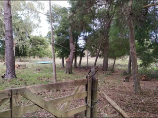 Foto 3 de VENTA, Chacra en Punta Indio con casa a demoler. con pileta