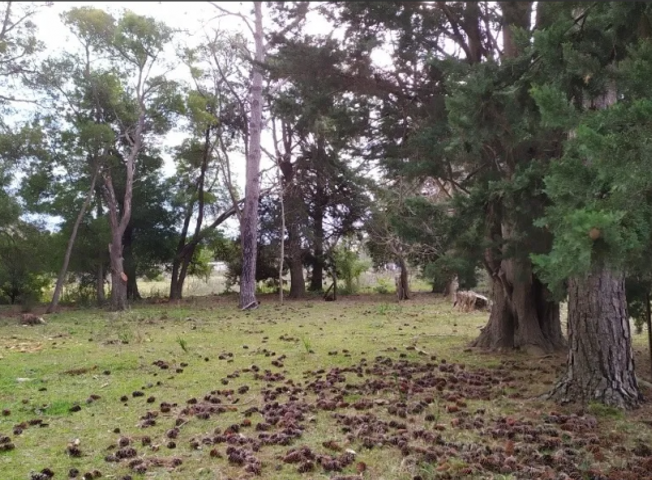place photo 9